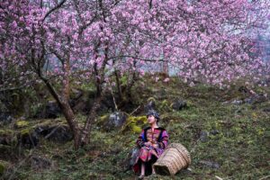Ha Giang Loop in February