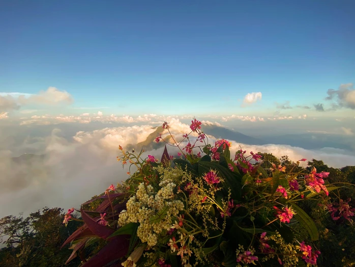 Tay Con Linh Peak Tay Con Linh Peak