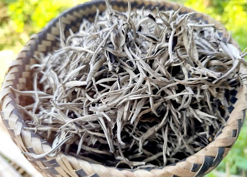 Shan Tuyet Tea Shan Tuyet Tea