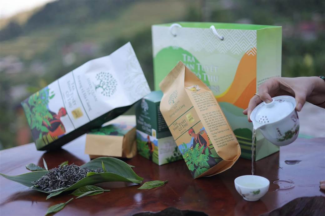 Shan Tuyet Tea Shan Tuyet Tea