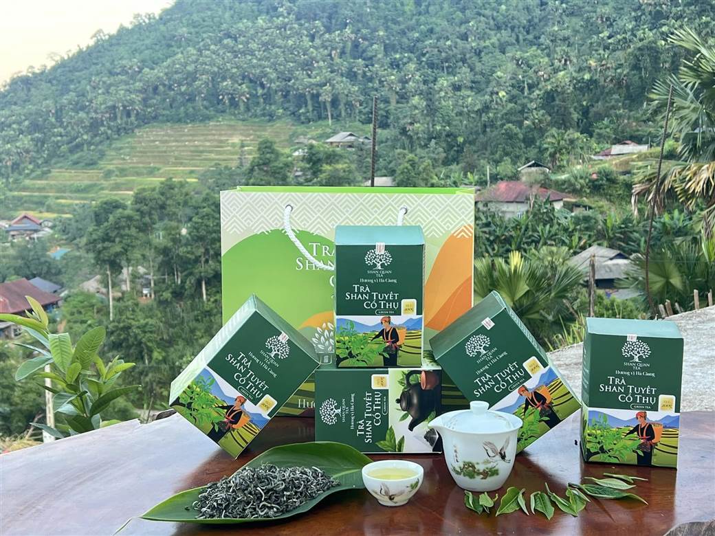 Shan Tuyet Tea Shan Tuyet Tea