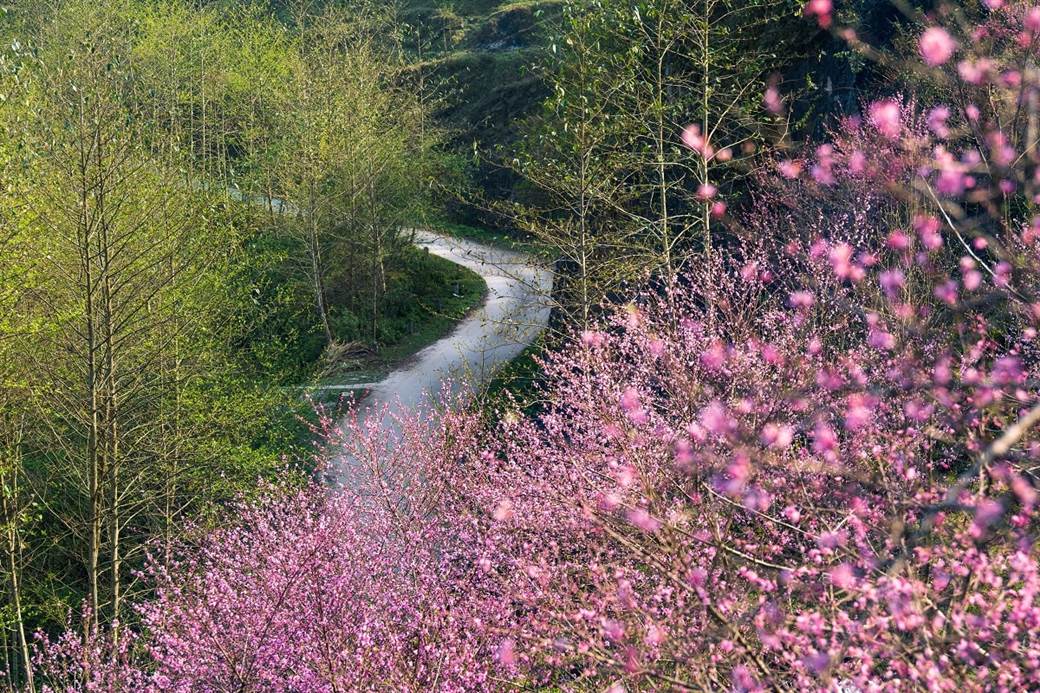 Ha Giang Loop in Rainy Season