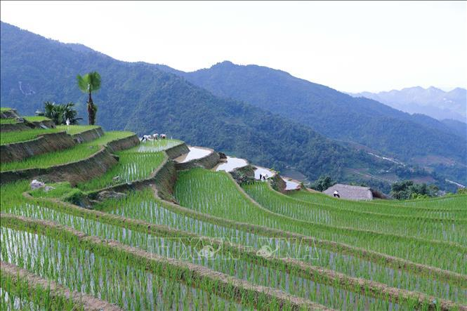 Xa Phin Village Ha Giang Xa Phin Village Ha Giang