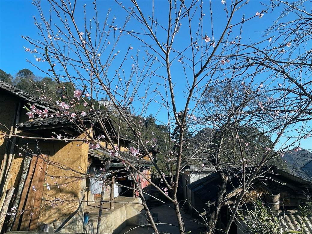 Lao Xa Village