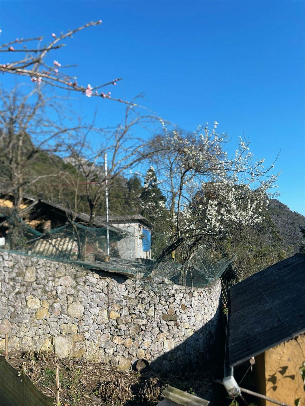 Lao Xa Village