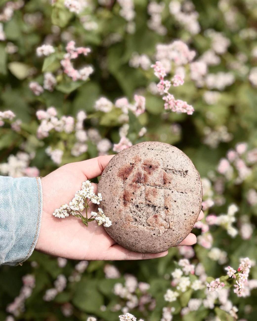 Ha Giang's Buckwheat Cake Ha Giang's Buckwheat Cake