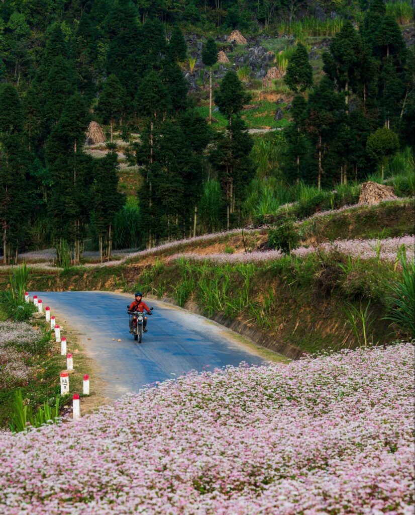 Ha Giang Loop solo ride