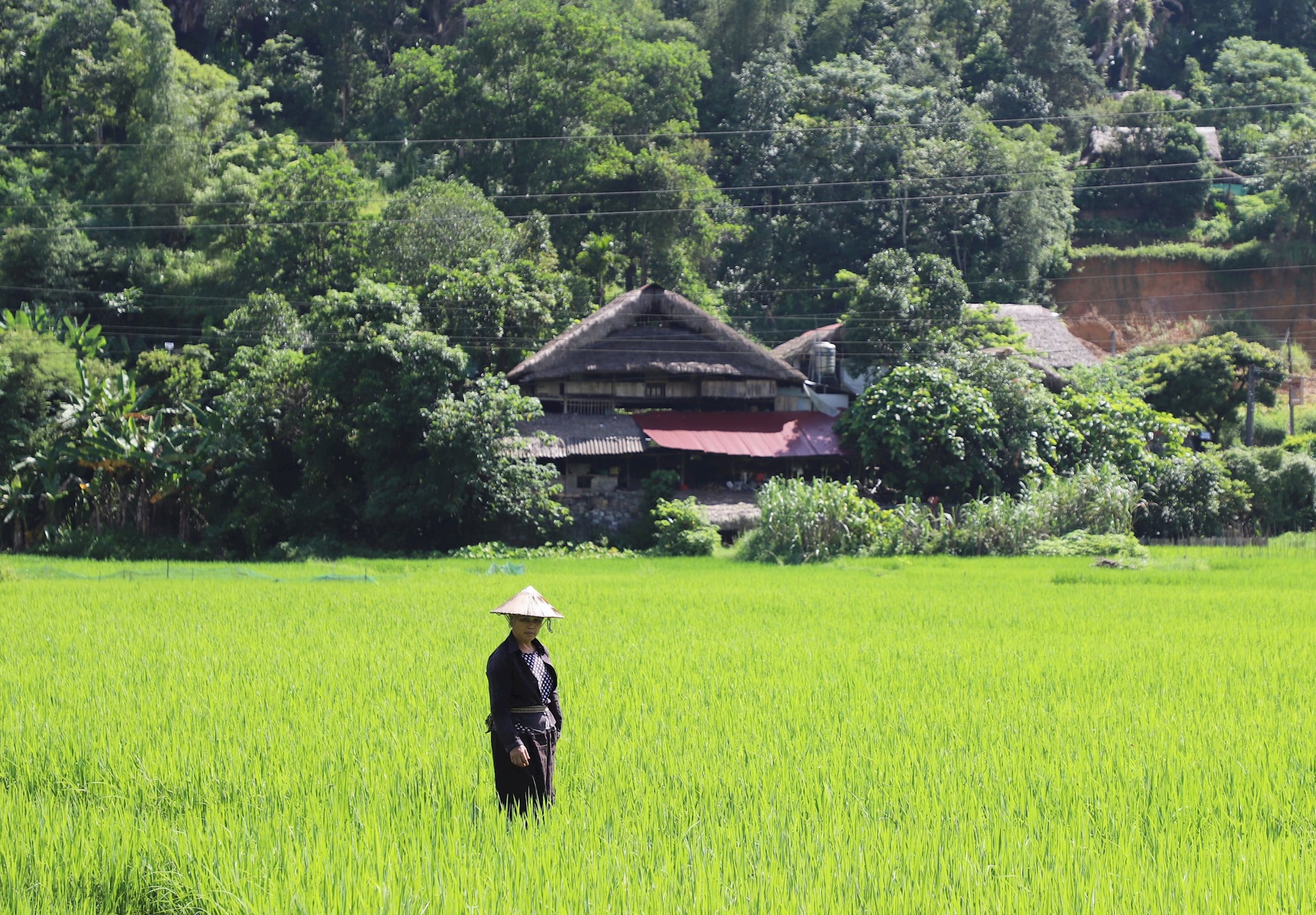 Du Gia Staying at a Tay homestay offers an authentic glimpse into Ha Giang’s rich culture.