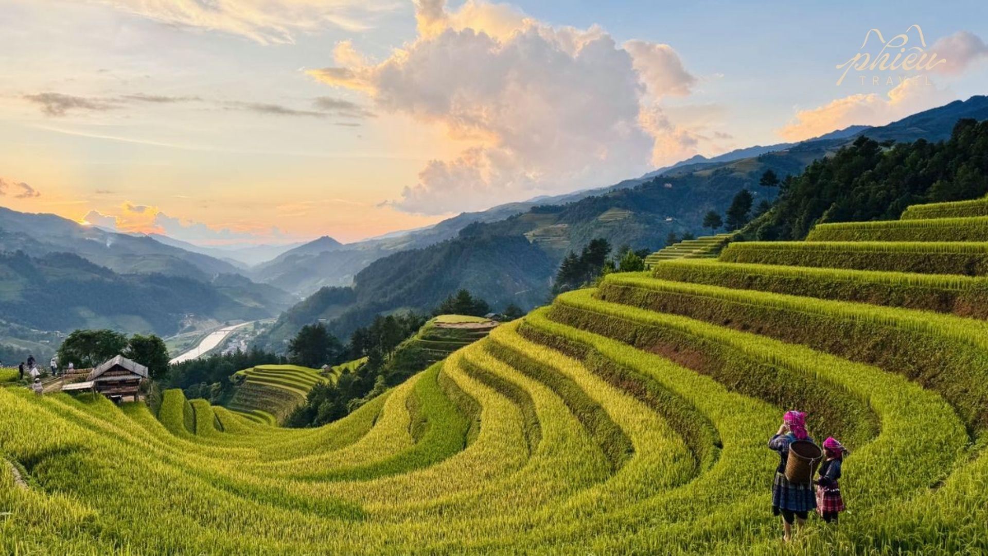 Terraced rice fields cascading across green mountains at sunset